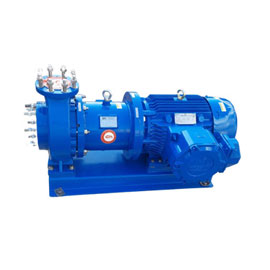 Chemical Process Pumps